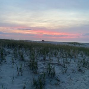 Meet your Posher, Adele